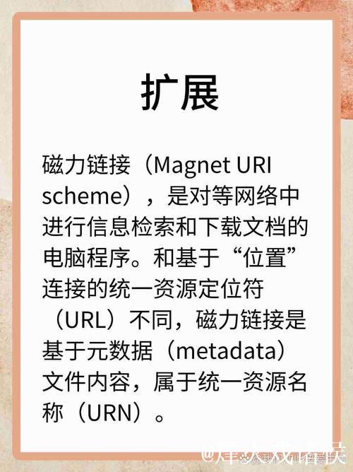全面解析迅雷磁力链接搜索技巧